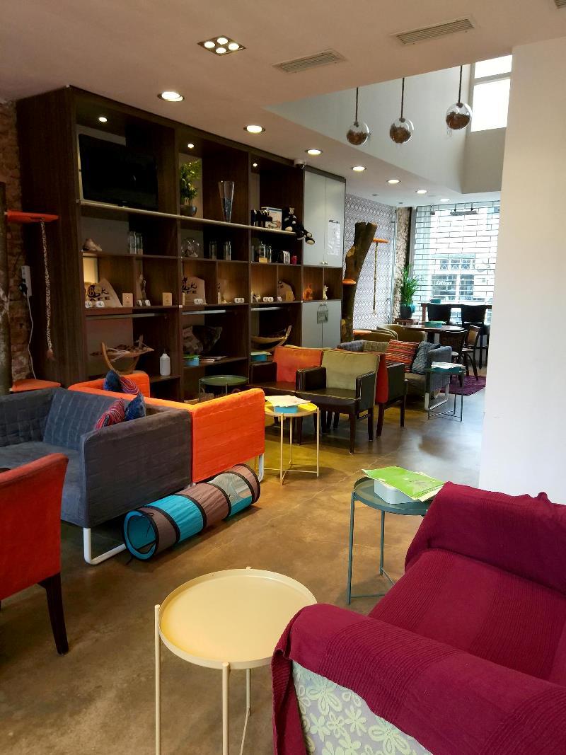 binnen bij het kattencafé met gekleurde bankjes en stoelen